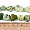 Natural Serpentine Beads Strands G-D098-C06-5