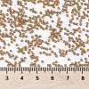 MIYUKI Round Rocailles Beads X-SEED-G009-RR3761-4