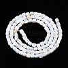 Natural Freshwater Shell Beads Strands SHEL-N034-29B-01-2