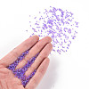 11/0 Grade A Round Glass Seed Beads SEED-N001-E-445-4