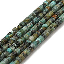 Natural African Turquoise(Jasper) Beads Strands G-C084-D03-02