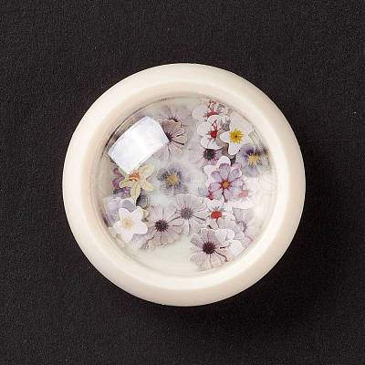 DIY Crystal Epoxy Resin Material Filling DIY-E036-17-1