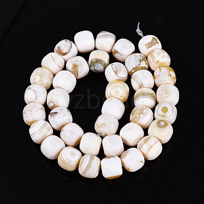 Natural Fire Crackle Agate Beads Strands G-Q606-94A-1