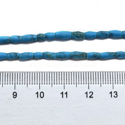 Dyed Synthetic Turquoise Beads Strands G-D356-A01-02-1