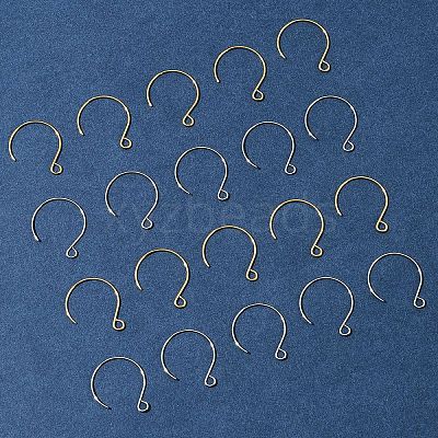 24Pcs 2 Colors Ion Plating(IP) 304 Stainless Steel Earring Hooks STAS-FS0001-65-1