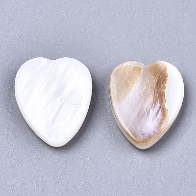 Natural Freshwater Shell Cabochons SHEL-R049-01-1