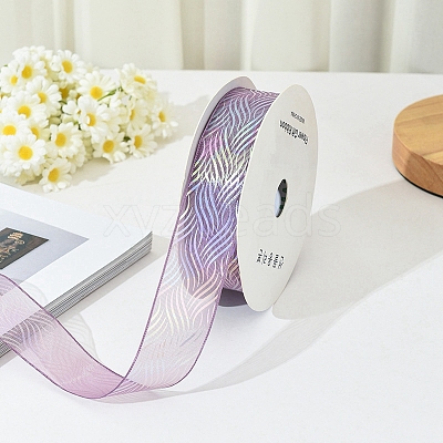 18M Iridescent Polyester Organza Ribbons PW-WG17147-08-1
