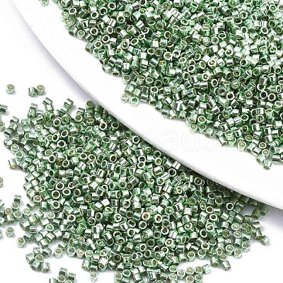 FGB 11/0 Grade A Glass Seed Beads SEED-S030-1217-1