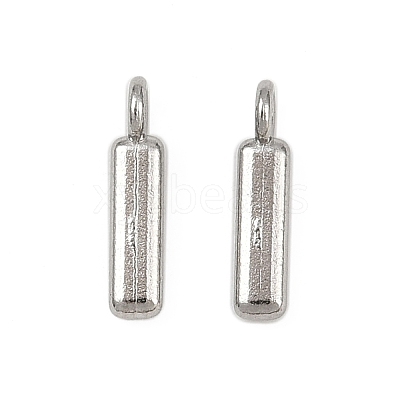 304 Stainless Steel Charms STAS-G356-08P-I-1