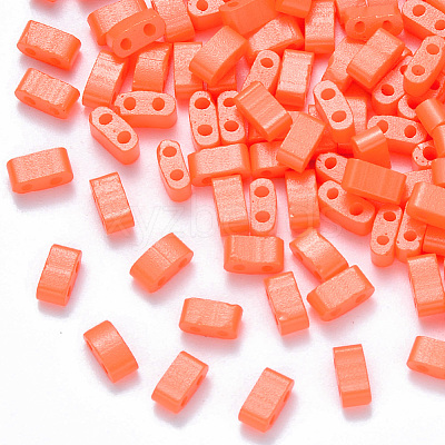 FGB 2-Hole Baking Paint Glass Seed Beads X-SEED-S031-M-406-1