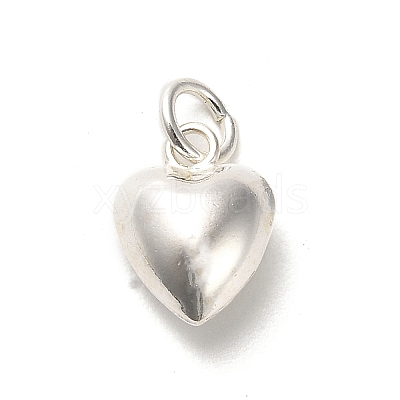 925 Sterling Silver Pendants STER-P057-07C-S-1