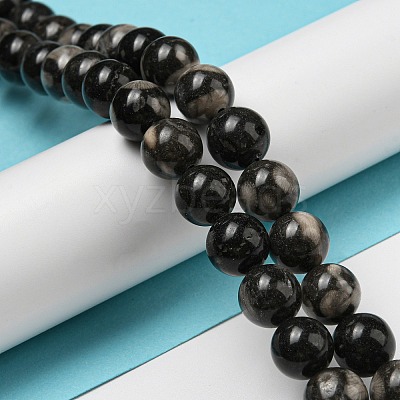 Natural Black Fossil Coral Beads Strands G-R494-A04-04-1