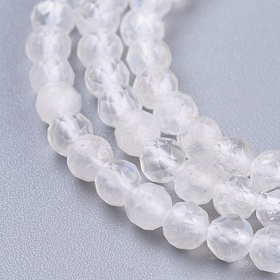 Natural Rainbow Moonstone Beads Strands G-R475-030-1
