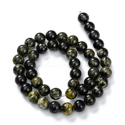 Natural Serpentine Beads Strands G-F709-01-1