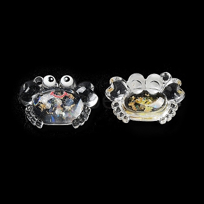 Luminous Transparent Acrylic Pendants TACR-F006-02-1
