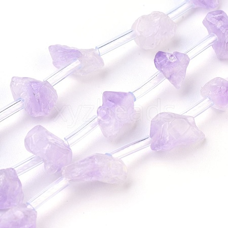 Natural Amethyst Beads Strands G-I250-03A-1