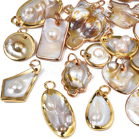 Natural White Shell Pendants SHEL-S278-074-1