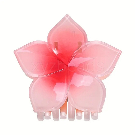 Plastic Claw Hair Clips PW-WG99DFF-01-1