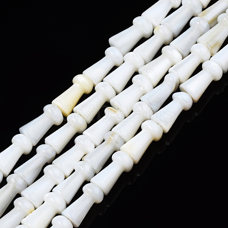 Natural Freshwater Shell Beads Strands SHEL-N026-199-1