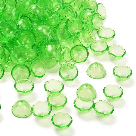 Transparent Acrylic Bead Caps OACR-Z030-03B-1