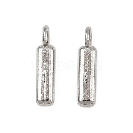 304 Stainless Steel Charms STAS-G356-08P-I-1