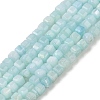 Natural Freshwater Shell Dyed Beads Strands SHEL-R100-11A-03-1