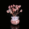 Natural Strawberry Quartz Chips Tree Decorations PW-WG5CB05-09-1