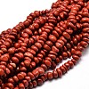 Natural Red Jasper Chip Beads Strands X-G-E271-124-1