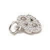 Brass Micro Pave Cubic Zirconia Charms KK-E077-02P-02-3