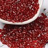 Spray Painted Glass Seed Beads SEED-F005-06A-05-1