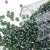 TOHO Round Seed Beads SEED-TR08-0119-1