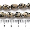 Natural Dalmatian Jasper Beads Strands G-B106-A29-02-5