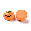 Halloween Opaque Resin Cabochons RESI-D063-15C-3