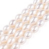 Natural Pearl Beads Strands PEAR-N012-07U-1-2