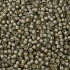TOHO Round Seed Beads SEED-JPTR11-0369FM-2