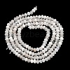 Natural Rainbow Moonstone Beads Strands G-B107-D01-01-3