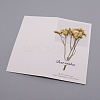 Paper Cards DIY-WH0183-41G-2