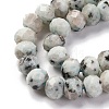 Natural Sesame Jasper Beads Strands G-K380-A08-01-4