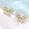 Brass Micro Pave Cubic Zirconia Stud Earrings Findings EJEW-F373-04G-4