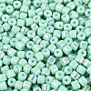 FGB Opaque Colours Glass Seed Beads SEED-Q040-07A-A05-3