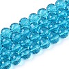 Transparent Glass Bead Strands GLAA-R095-12mm-23-1