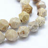 Natural Fossil Coral Beads Strands G-F523-23-8mm-3
