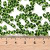 Glass Seed Beads SEED-L011-02A-02-4