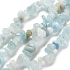 Natural Aquamarine Chip Beads Strands X-G-L154-19-2