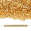 TOHO 8/0 Round Beads SEED-XTR08-0022A-4