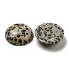 Natural Dalmatian Jasper Cabochons G-C115-02B-21-2