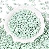 Baking Paint Pearlized Glass Seed Beads SEED-T008-03P-2