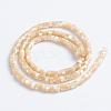 Natural Trochid Shell/Trochus Shell Beads Strands SSHEL-L016-13-3