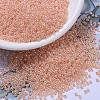 MIYUKI Round Rocailles Beads SEED-JP0008-RR0543-1