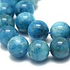 Natural Apatite Beads Strands G-F674-04-8mm-3